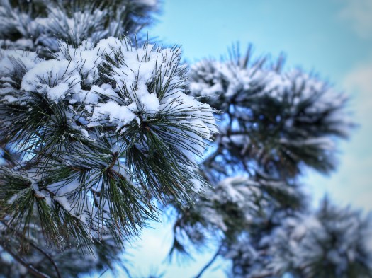 18200204-DCB9-4781-9217-20299DBC6EF1