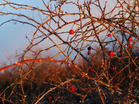 71F71FBC-9B79-427F-B1C7-9A3493820273