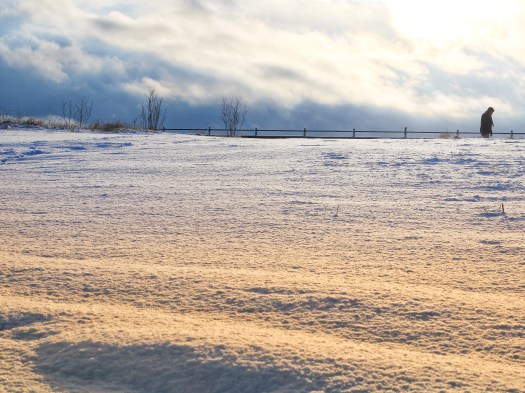 90557FD8-BAEF-49FA-ACAC-248C7E7BA8F1