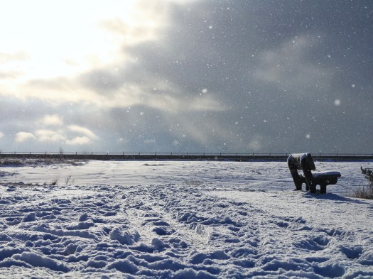 EBD9F432-057D-42DD-A15D-EA8ACB069E28